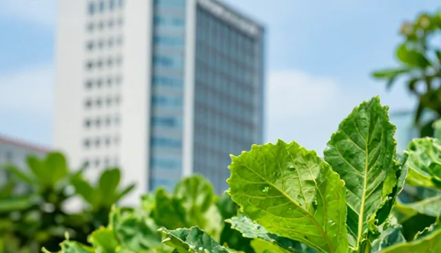 食品研发过程中选型关注点的实践分析
